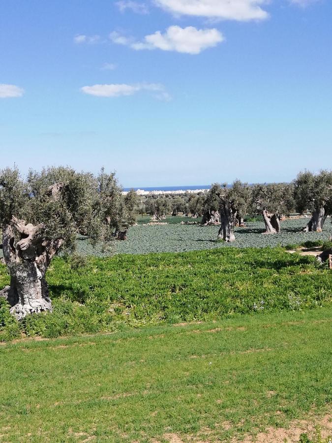 Masseria Ricci Fasano Bagian luar foto