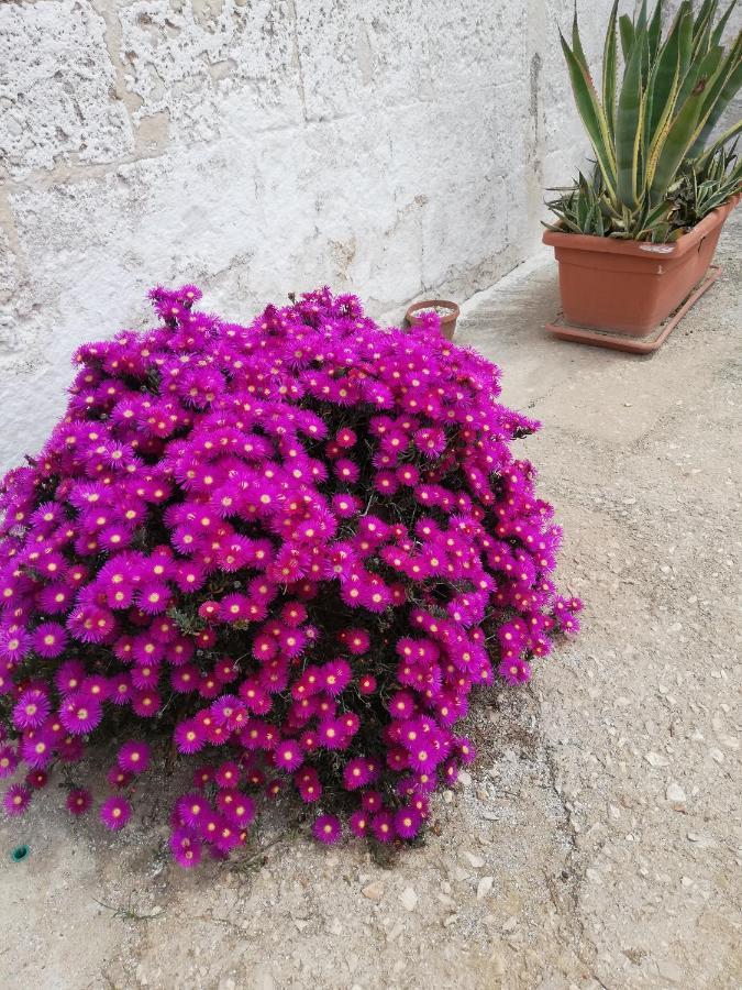 Masseria Ricci Fasano Bagian luar foto