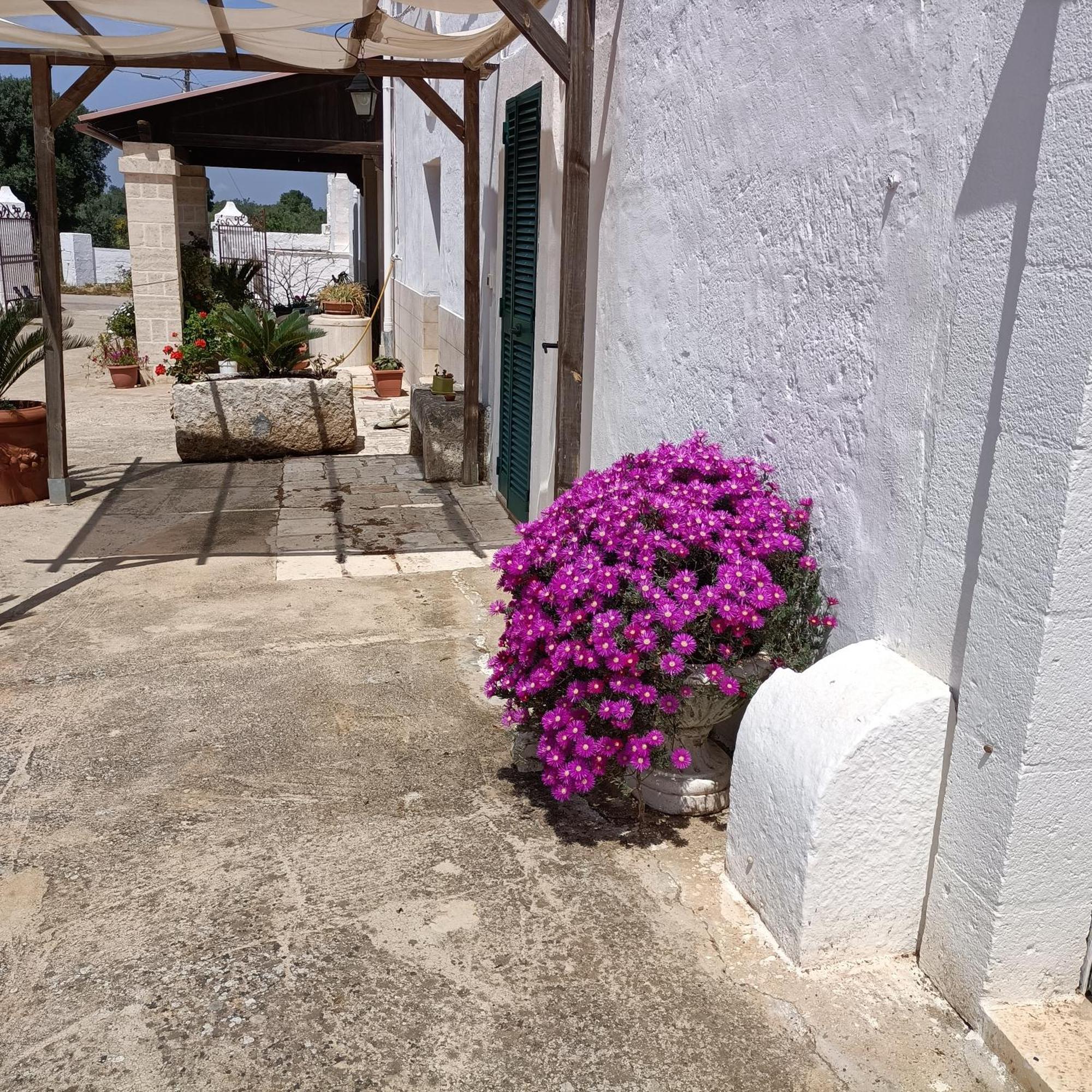 Masseria Ricci Fasano Bagian luar foto