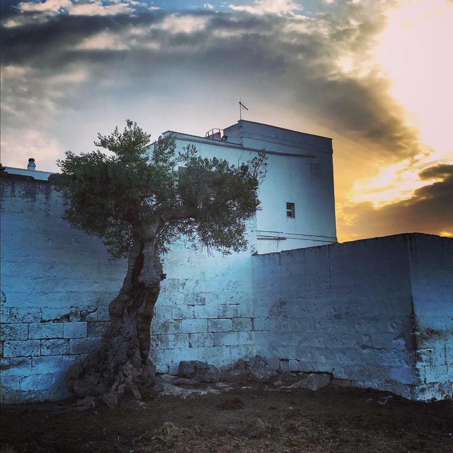 Masseria Ricci Fasano Bagian luar foto